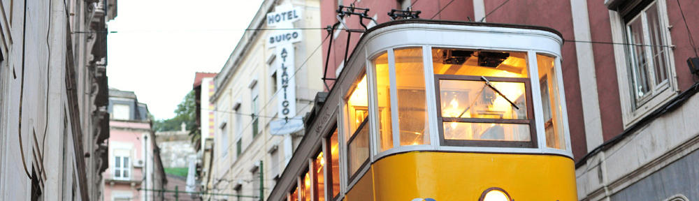 Kwiaciarnia Całodobowa